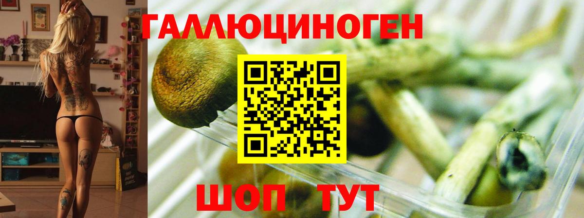 Псилоцибиновые грибы MAGIC MUSHROOMS Воткинск