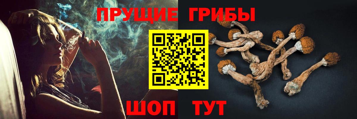 Галлюциногенные грибы Psilocybine cubensis  Вход с VPN  Воткинск 
